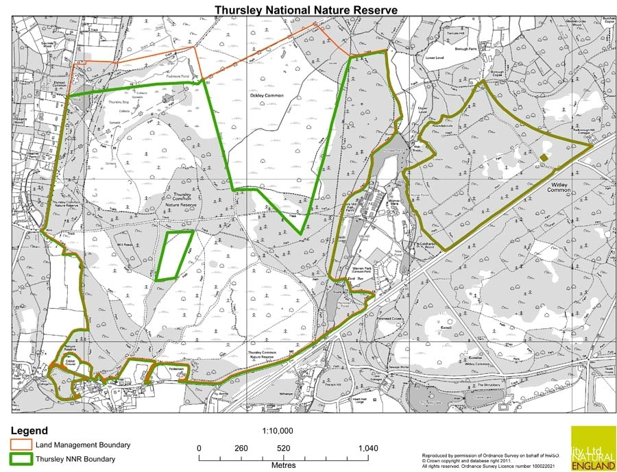 Thursley NNR comprises 325 hectares of lowland heath and woodland (Tursley, Surrey)